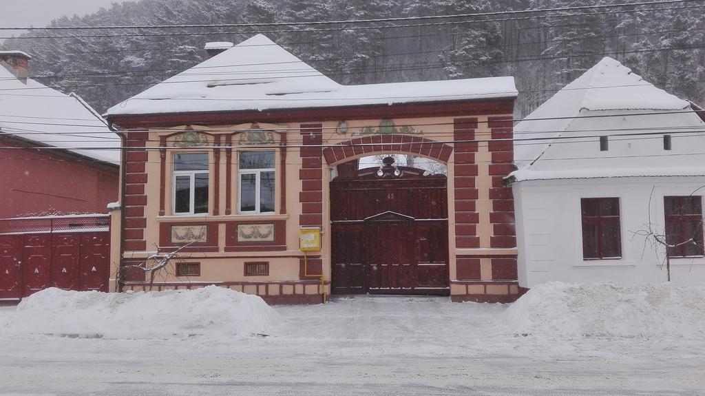 Casa De Oaspeti " Rodica" Hotel Rîşnov Eksteriør billede